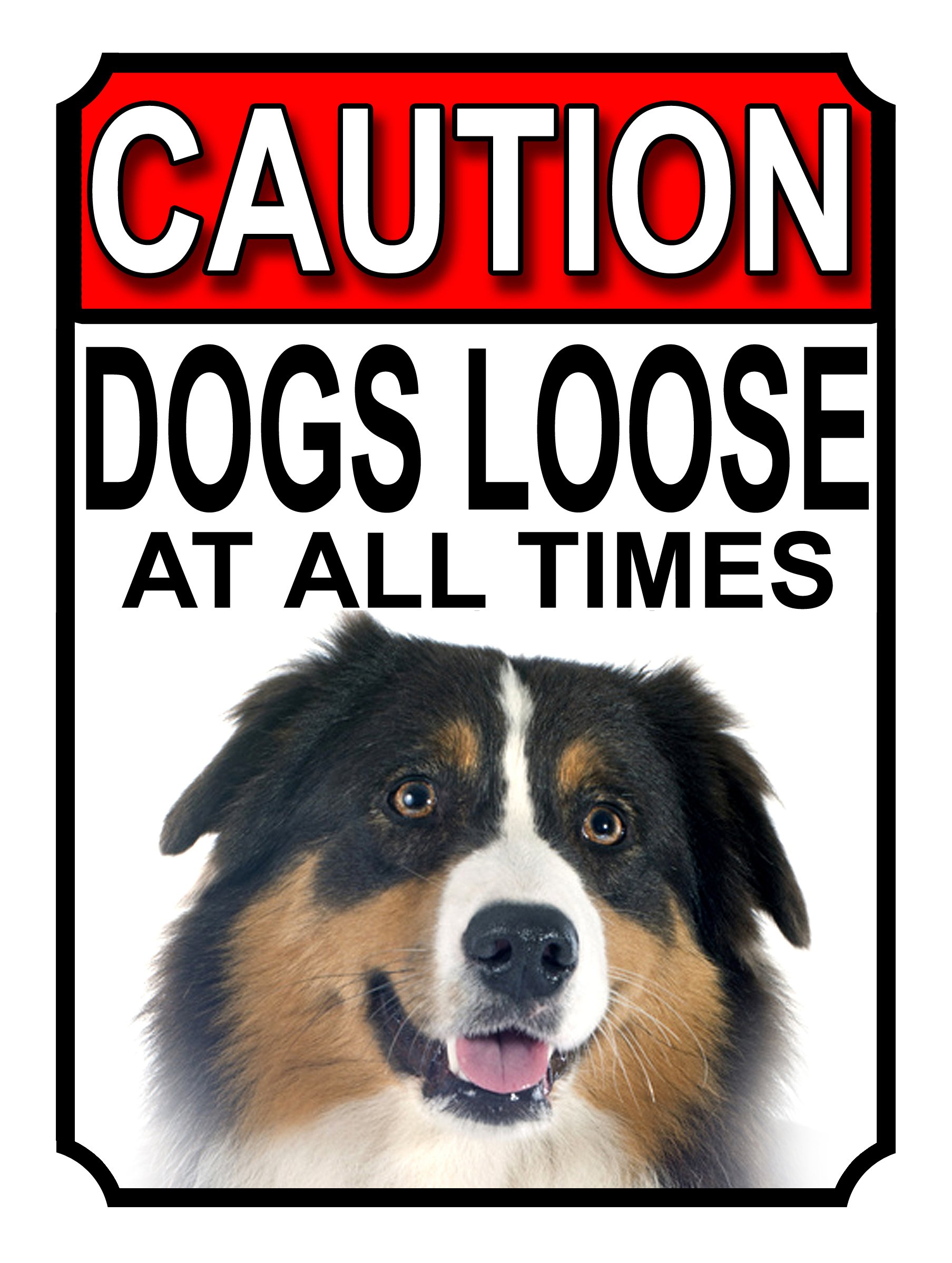CAUTION DOGS LOOSE AT ALL TIMES METAL GATE SIGN AUSTRALIAN SHEPHERD 200MM X 150MM (1174H1) — image 1