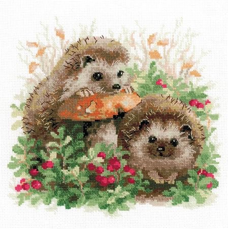 RIOLIS Kreuzstich-Set 'Meine Familie' – Inkl. Stoff, Garn, Nadel & Anleitung, 30 X 21 Cm
