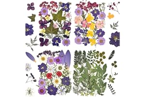 DALARAN 100Pcs Purple Dried Pressed Flowers for Resin Molds Real Pressed Flowers Dry Leaves Kit for Art Crafts Resin Jewelry Making Scrapbook Supplies Card Making Soap Candle DIY