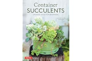 Container Succulents: Creative Ideas for Beginners