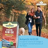 Natures Aid Krill Oil 500mg 60 Softgels High Omega-3 EPA DHA Astaxanthin view 2