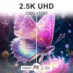 2.5K Portable Monitor 15.6inch UHD 2560 * 1680 for