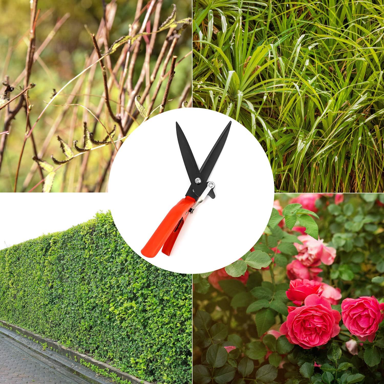 QWORK Garden Shears - Grass Shears with Comfort Grip Handle an Rigid Blade for Shearing Hedge/Branches/Flower and grass: Home Improvement