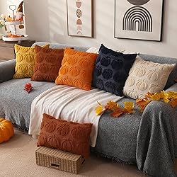 DFXSZ Fall Pillow Covers 20x20 Set of 2 Fall