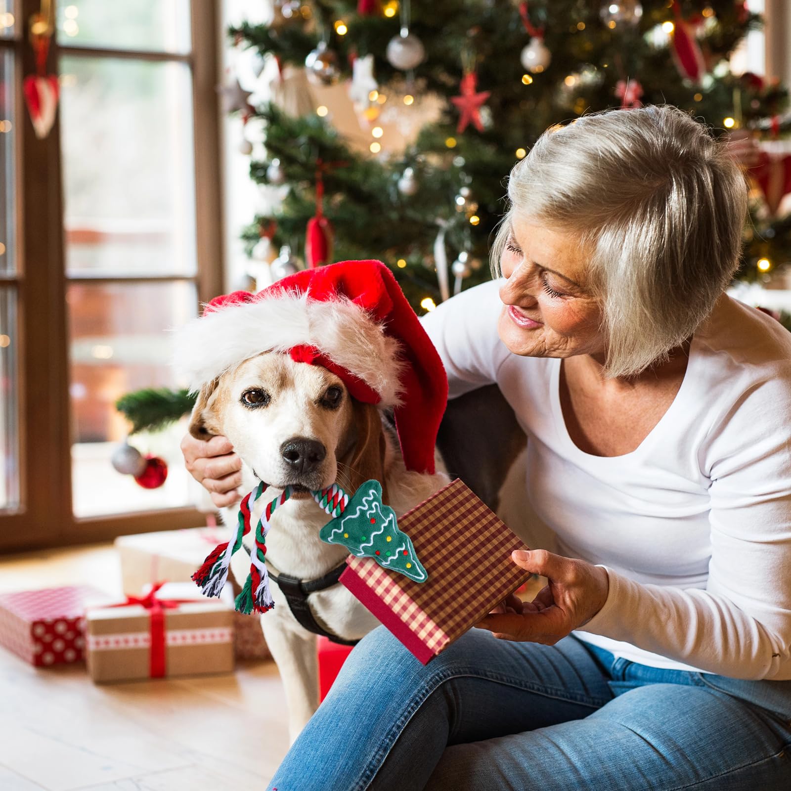 View 2