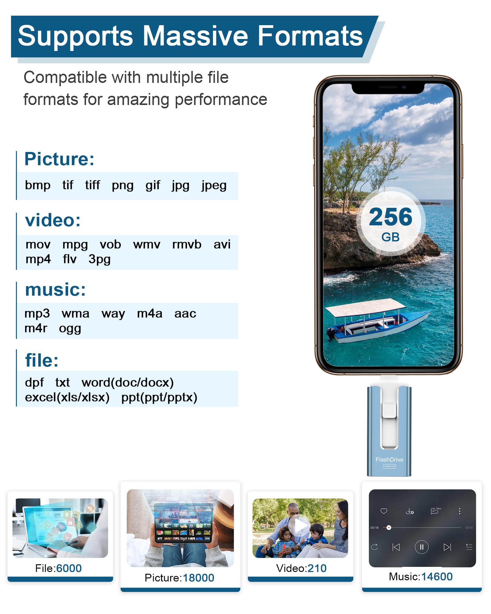 256GB USB Flash Drive for Phone and Pad, Photo Stick High Speed External USB Thumb Drives Photo Storage Memory Stick for Save More Photos and Videos (Blue, 256GB)
