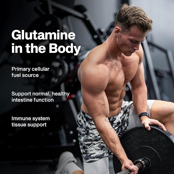 MUSCLETECH GLUTAMINE POWDER | 100% PURE L GLUTAMINE POWDER | POST WORKOUT RECOVERY DRINK | L-GLUTAMINE POWDER FOR MEN & WOMEN | MUSCLE RECOVERY | UNFLAVORED (60 SERVINGS)