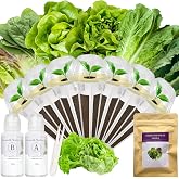 Salad Greens Seed Pod Kit for Hydroponic System-7 Pods | Compatible with AeroGarden&amp;most hydroponic systems. Includes Romaine, Buttercrunch, Parris Island, American Fast&amp;Spinach