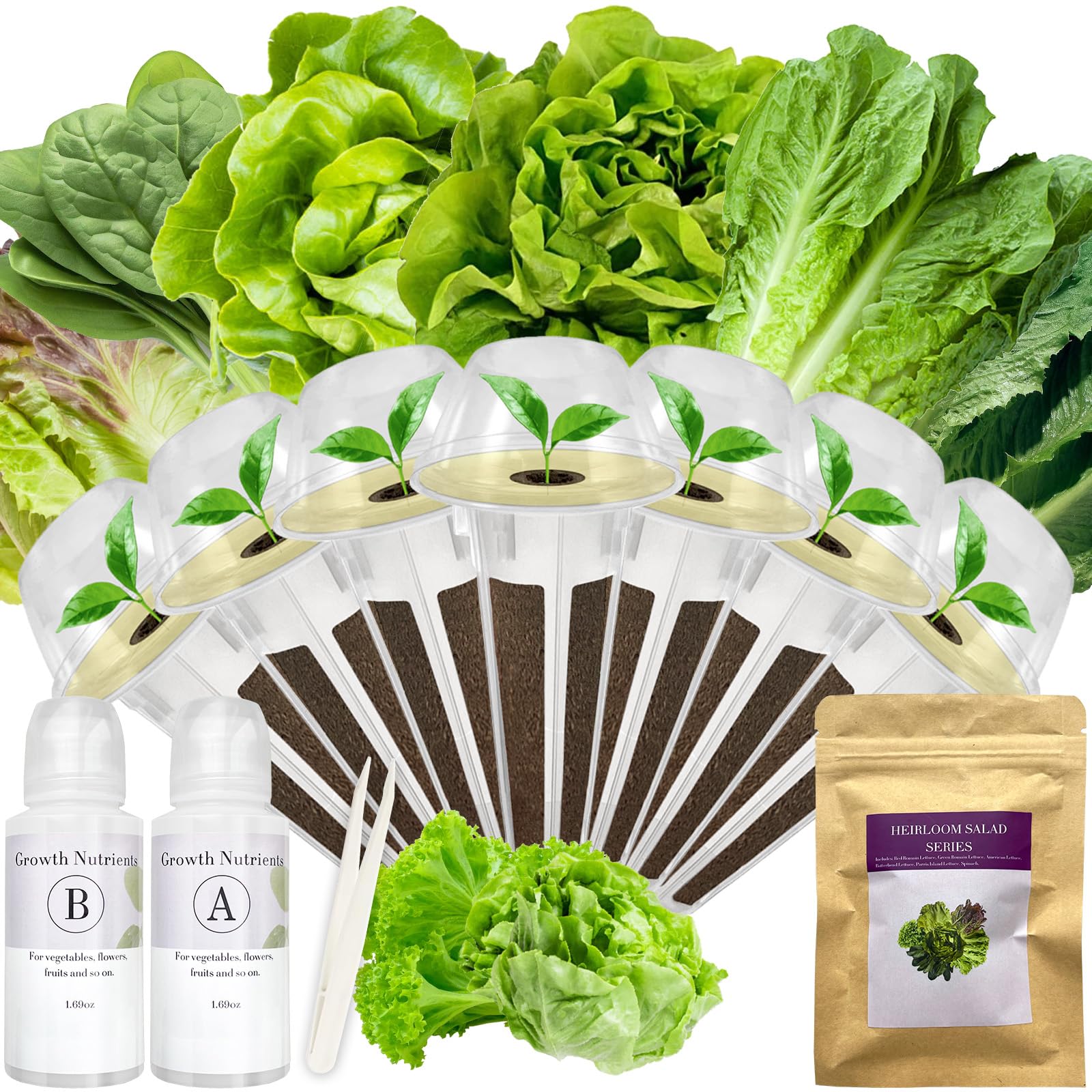 apoloseedic Salad Greens Seed Pod Kit for