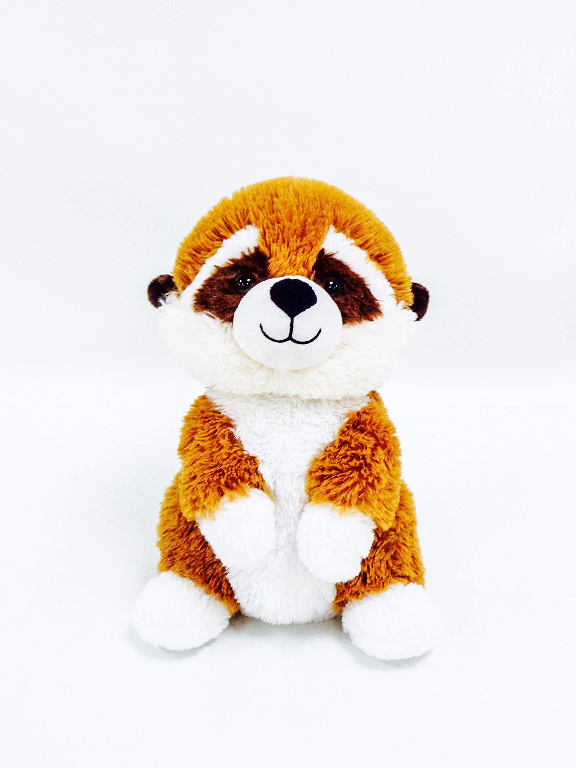 EUGENE & CO. Racoon Plush | Racoon Soft Toy | Animal Plush | 30cm(11.8inch) Soft Stuffed Bear Plush Toy (Racoon)