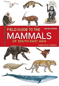 kindle best category lists