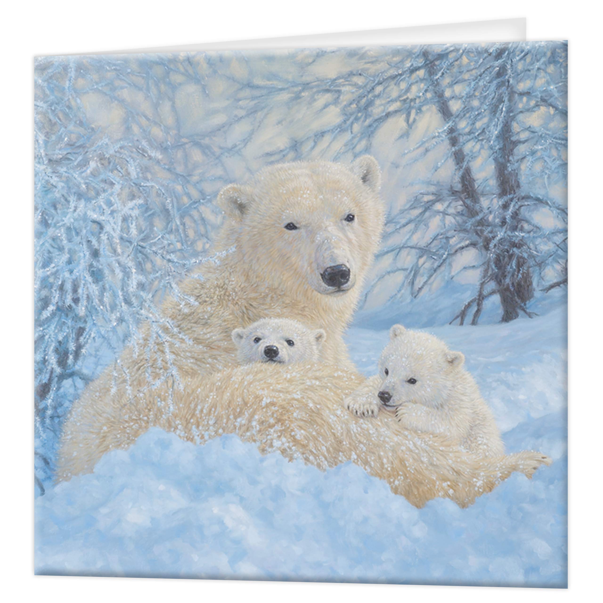 3D LiveLife Greeting Card - Northern Family from Deluxebase. Blank Card with Lenticular 3D Image and Envelope. Unique Notecard for All Occasions and Premium Stationery Sets.