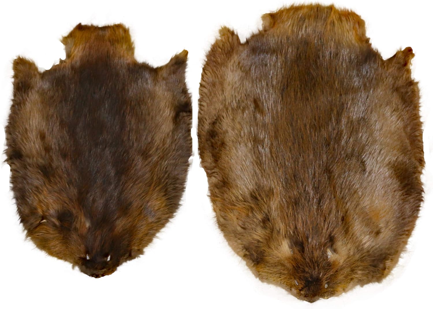 rbt1060 Glacier Wear Rex Rabbit Pelts Hides Fur Brown Gray Leather