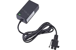 LINKEPOW 24 Volt Charger for Kid Ride On Car 24V Battery Charger for Grave Digger Monster Truck & Yamaha 24V Grizzly Riding Toy Powered Electric Car Accessories