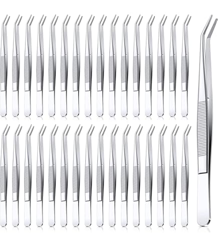 Insect Pinning Kit Chrome Seeker Mall Probe Set - Pack Of 5 (6