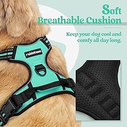 rabbitgoo Dog Harness No Pull with 2 Leash