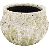 Creative Co-Op Medium Terra-Cotta Planter with Crackle Glaze and Terrazzo Finish, Multicolor