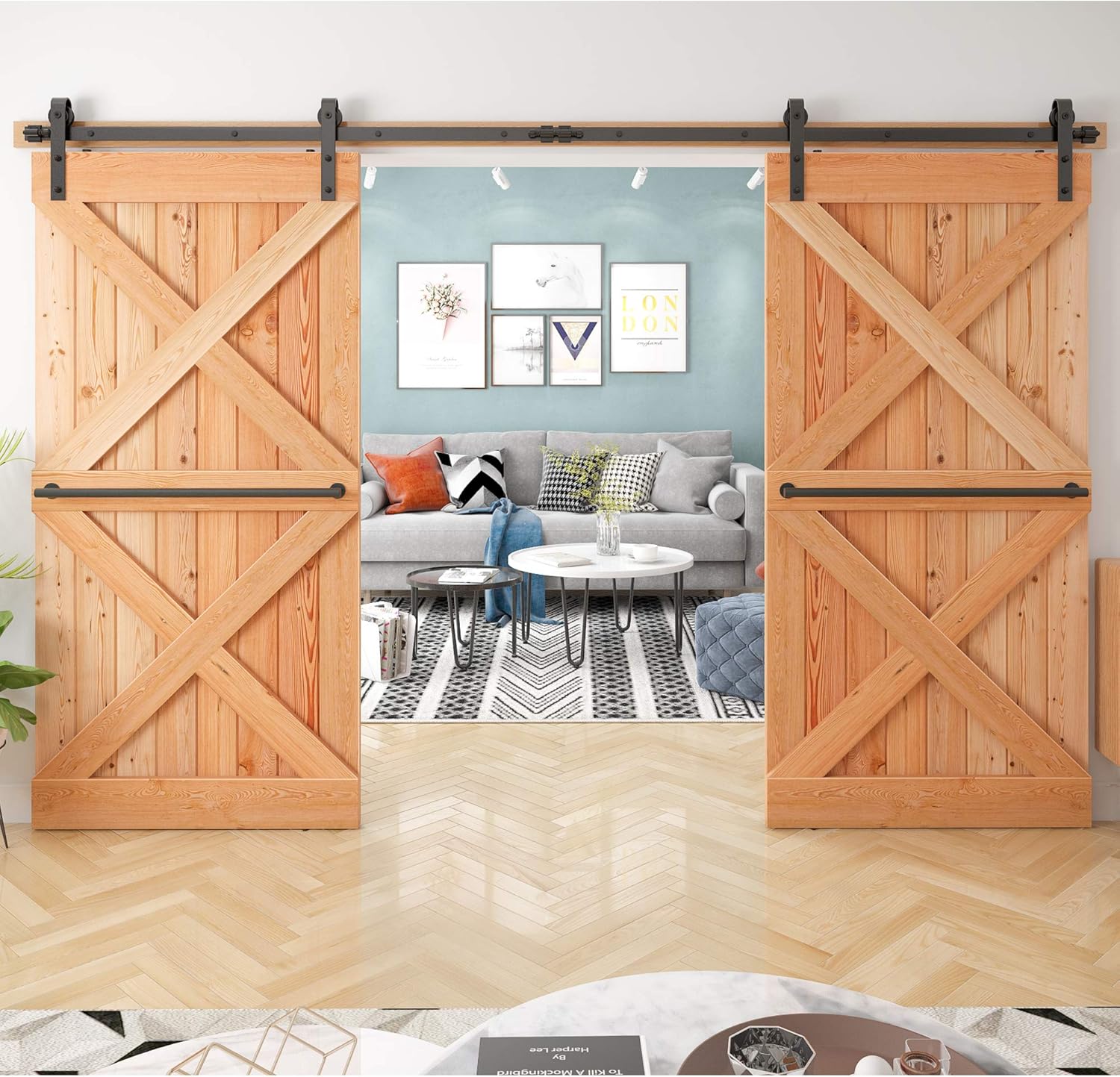 10FT (US Based Company) Sale Double Door Sliding Barn Door Hardware Kit for 30