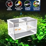 IRYNA Fish Breeding Box with Suction Cups 26x15x15cm Large Hatchery Net view 6