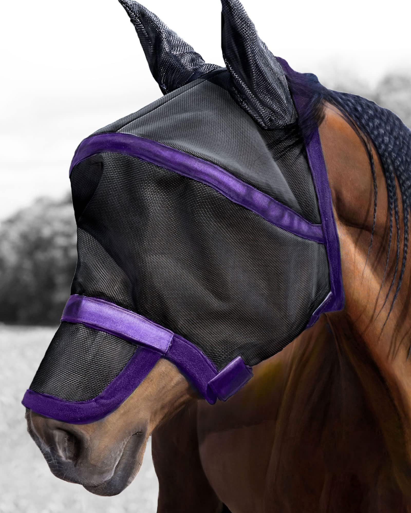 Photo 1 of (used/fair) (bagged) Harrison Howard Maskology Supreme Horse Fly Mask Stellar UV Protection with Detachable Nose Cover Well-Received 2-in-1 Mask Purple M Cob