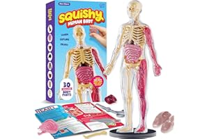 Dan&Darci Human Anatomy Squishy Body Model - Science Kits for Kids Ages 4-8 - STEM Toys for 4 5 6 7 8 Year Old Boy Birthday G