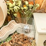 Niteangel Desert Bath Sand for Small Pets 2.5lb No-Dust Zeolite Litter view 5