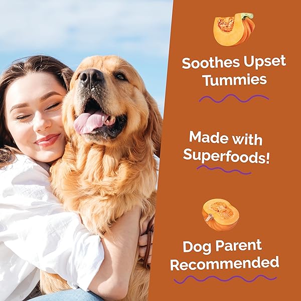 FRUITABLES PUMPKIN DIGESTIVE SUPPLEMENT, MADE WITH PUMPKINS FOR DOGS, HEALTHY FIBER SUPPLEMENT FOR PET NUTRITION, PACKED WITH SUPERFOODS, 15 OZ