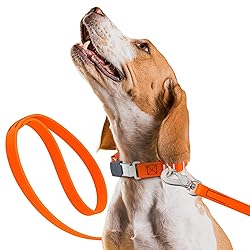 Randstark Biothane Waterproof Durable Dog Leash