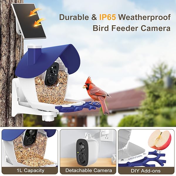 BIRDSNAP® P33 – SMART BIRD FEEDER WITH CAMERA SOLAR POWERED, 2K VIDEO BIRD CAMERA FEEDER LIVE WITH 32GB CARD, AI IDENTIFY FEATHER SPECIES, AUTO RECORD IN BACKYARD, IDEAL GIFT FOR BIRDS LOVER