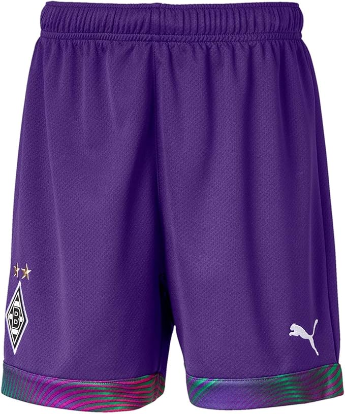 puma goalkeeper shorts