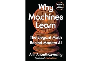 Why Machines Learn: The Elegant Math Behind Modern AI