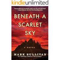 Beneath a Scarlet Sky: A Novel