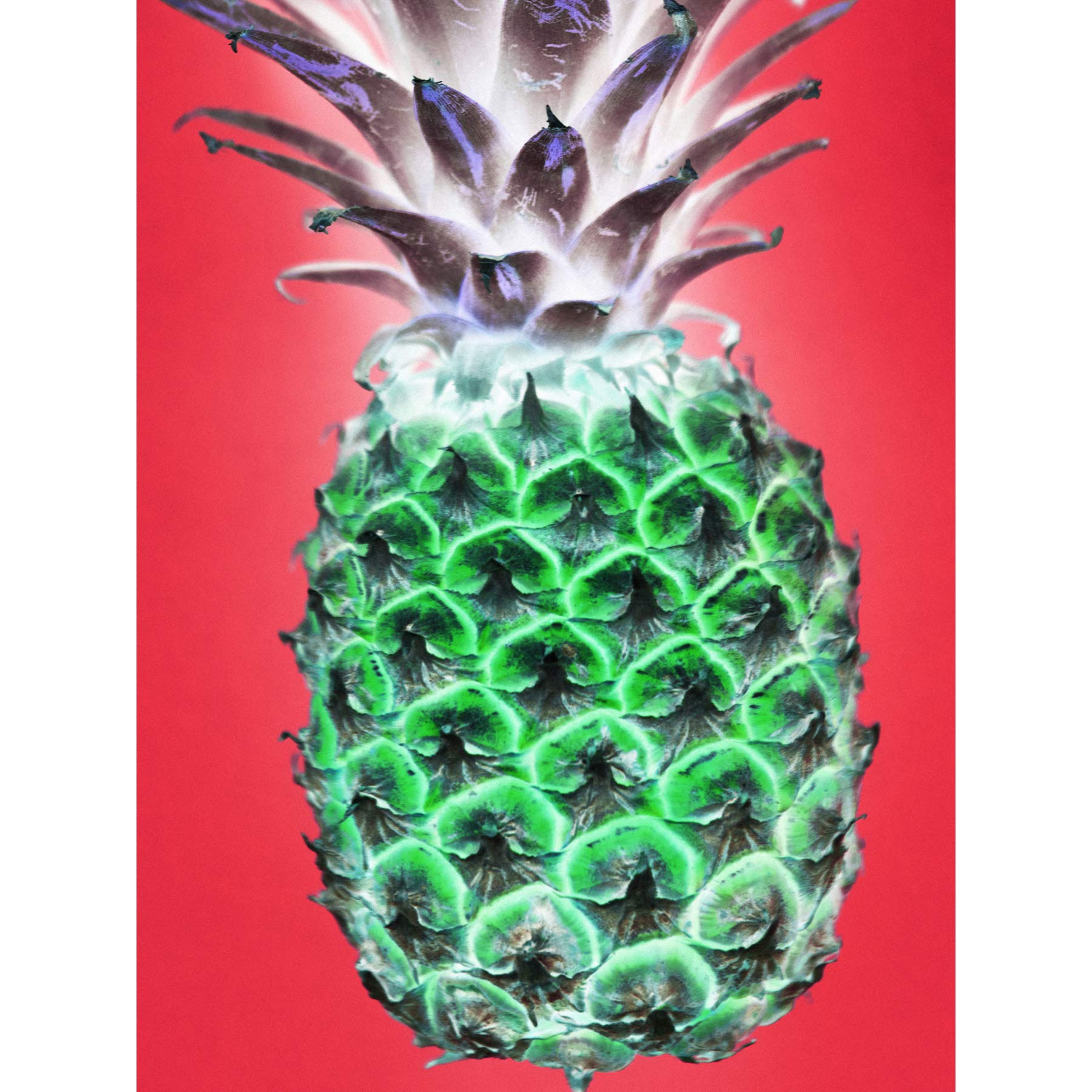 Pop Art Pineapple Large Wall Art Print Canvas Premium Poster
