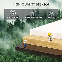 FLEXISPOT Standing Desk Electric Height Adjustable