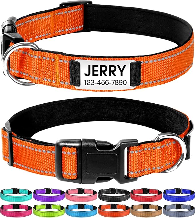 Joytale Collier de Chien Gravé avec Nom et Adresse,Réfléchissant