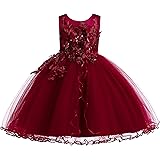 Weileenice Girls Princess Christmas Dress Lace Flower Girl Wedding Prom Pageant Birthday Party Tutu Tulle Dresses