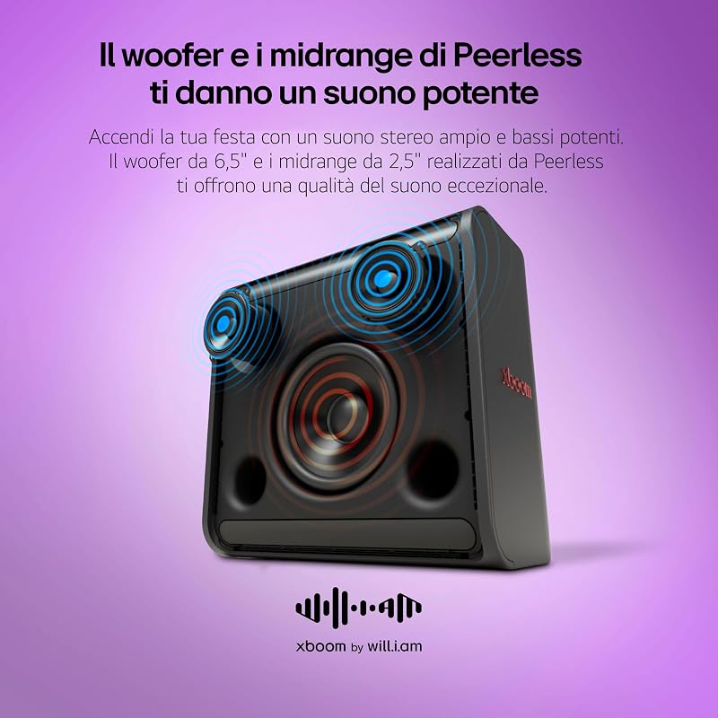 xboom Stage301,Speaker Portatile Wireless per Feste, Cassa Karaoke Portatile, Impermeabile IPX4 per Uso Esterno, con 12 Ore di Autonomia,Indicatore LED (Per Chitarra/Microfono)