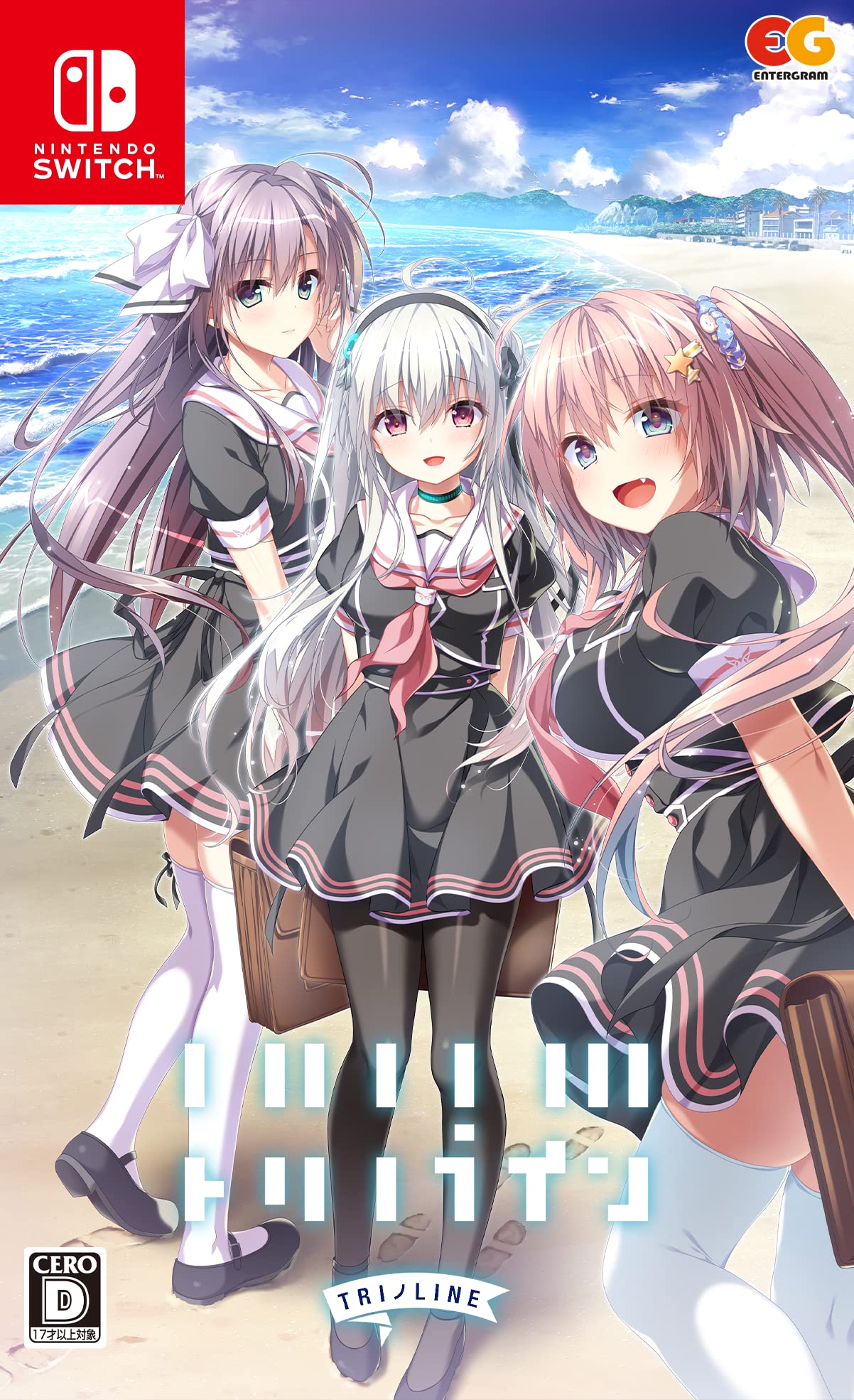トリノライン Switchの商品画像