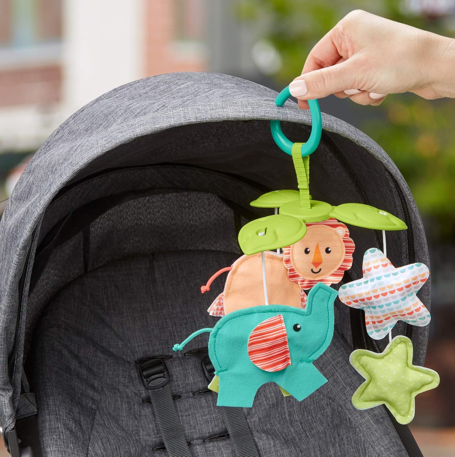 safari dreams music & lights gym