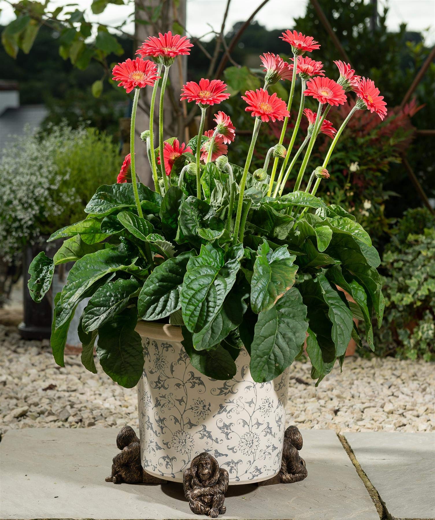 Potty Feet Orangutan Figures Plant Pot Feet - Handmade - Planter Support - Handmade Decorative Ornaments - 3pcs — image 1