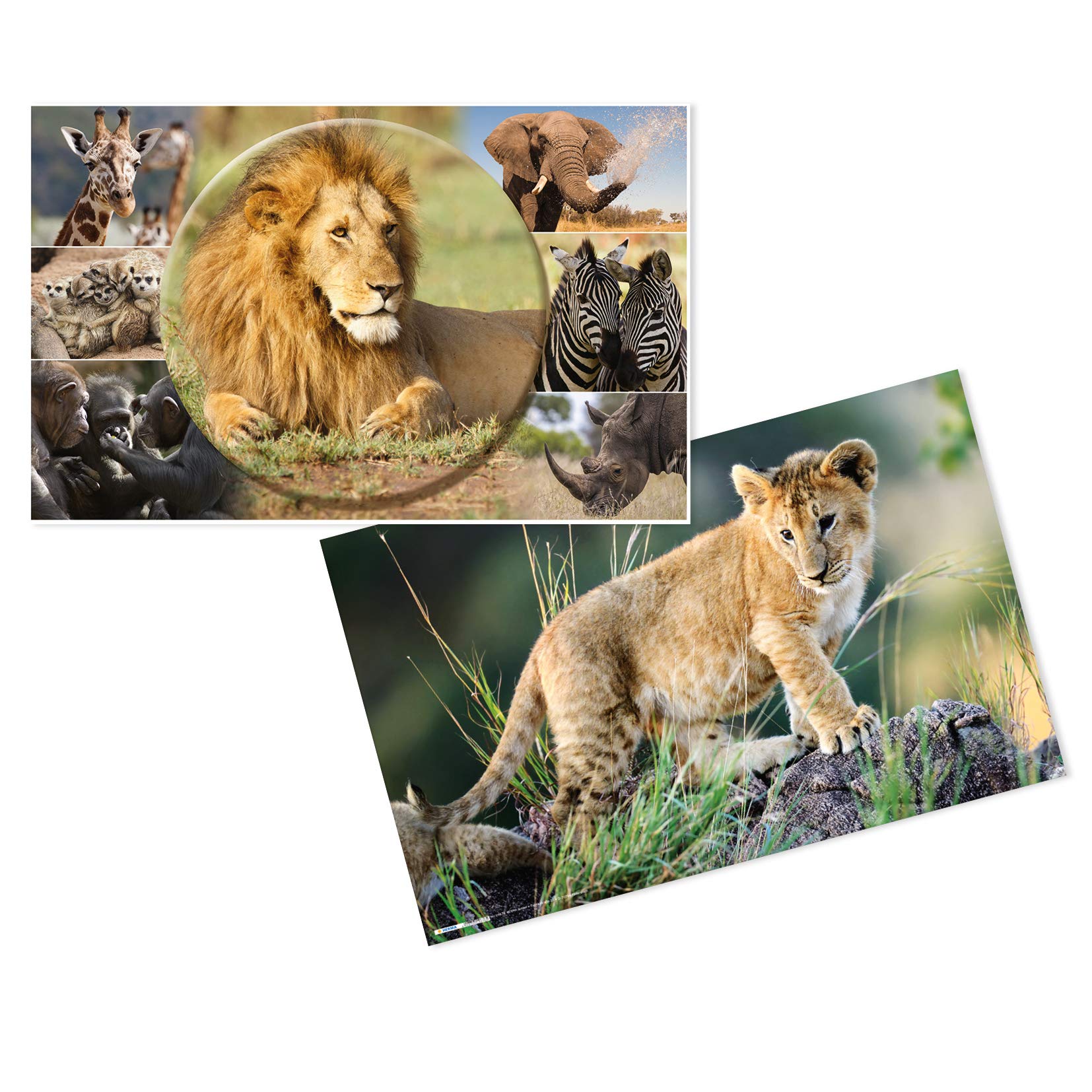 HERMA 19676 Desk Mat Animals Africa Set of 3, 55 x 35 cm, Non-Slip, Wipe Clean and Double-Sided Desk Mat Made of Sturdy Cardboard, Table Mat for Children