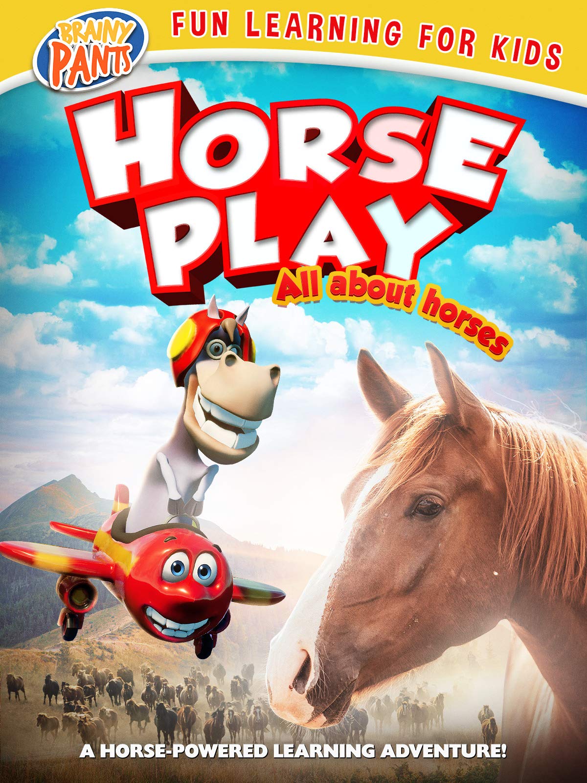 Watch Horseplay All About Horses Prime Video