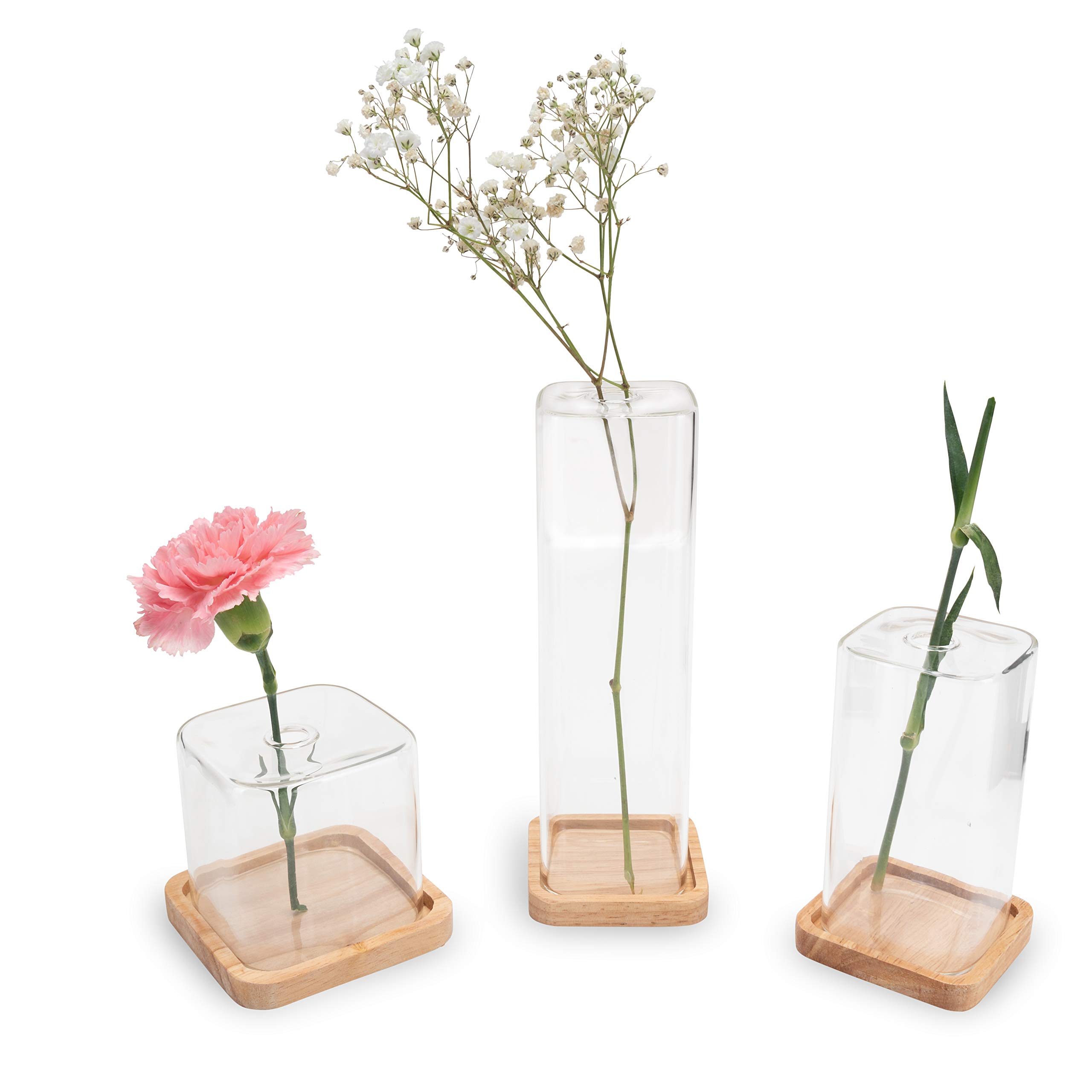 LUUK LIFESTYLE Cube Glass Vases with Wooden Coaster, Scandinavian Design, Transparent, Square, Round, Vintage Style, Vase Set