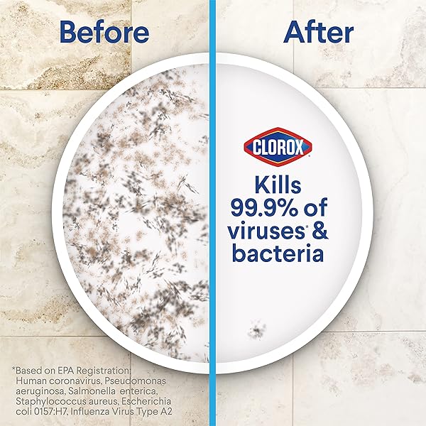 CLOROX DISINFECTING WET MOPPING CLOTHS, RAIN CLEAN, 24 WET REFILLS (PACKAGE MAY VARY)