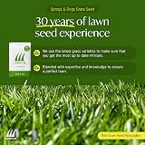 Lawn UK Sprogs & Dogs Grass Seed 500g Fast Growing 15sqm Coverage view 6