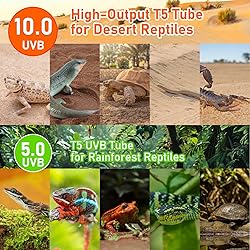 Jaenmsa T5 10.0 UVB Light Fixture for Reptiles, 8W