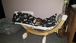 Hanging Cat Hammock Kerbl Siesta 73 x 36 x 34 cm White main image 0