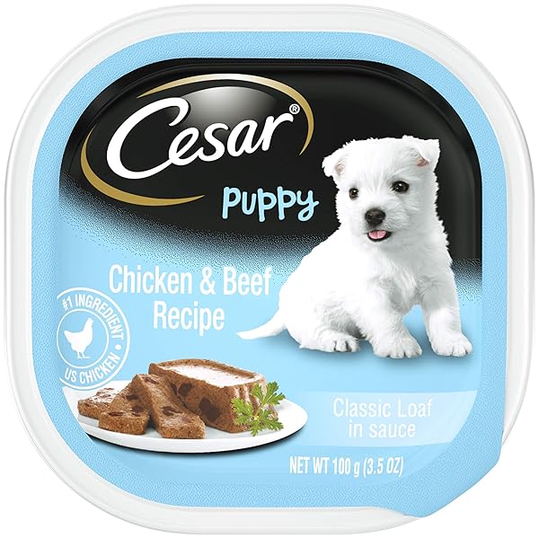 CESAR PET FOOD SELECT FOR PUPPIES, 3.5 OZ
