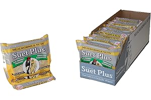ST. ALBANS BAY SUET PLUS Wildlife Sciences Mealworms & Nuts Suet Cakes, 11 oz., 12 Pack