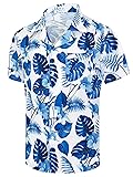 Men's Short Sleeve Hawaiian Shirt Quick Dry Loose
